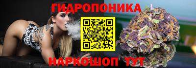 прущие грибы Бузулук