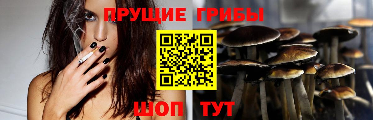 Отрадный  купить наркотик  Вход с VPN  Псилоцибиновые грибы Magic Shrooms 